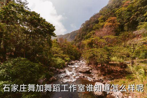 石家庄舞加舞蹈工作室谁知道怎么样呢