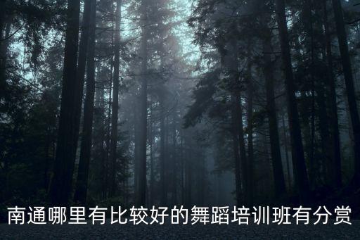南通哪里有比较好的舞蹈培训班有分赏