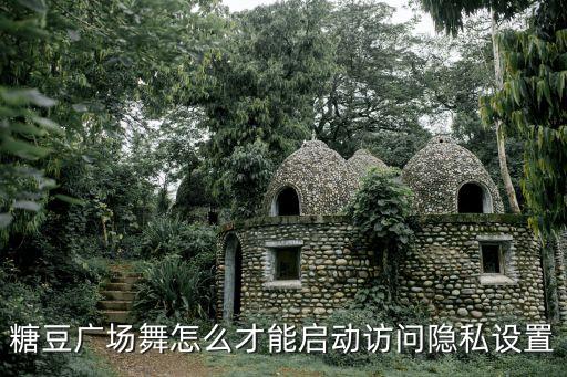 糖豆广场舞怎么才能启动访问隐私设置