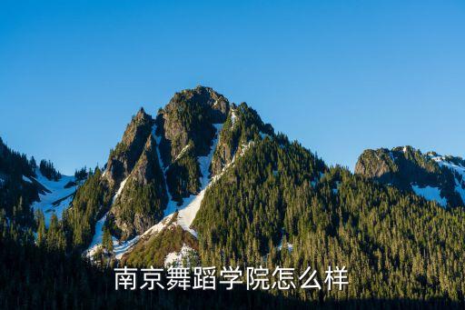 南京舞蹈学院怎么样