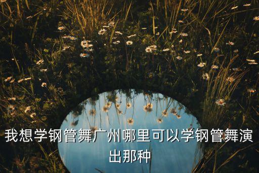 我想学钢管舞广州哪里可以学钢管舞演出那种
