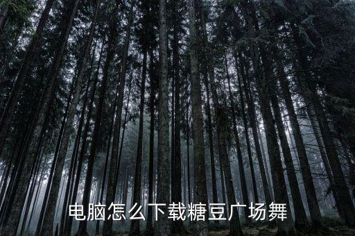 电脑怎么下载糖豆广场舞