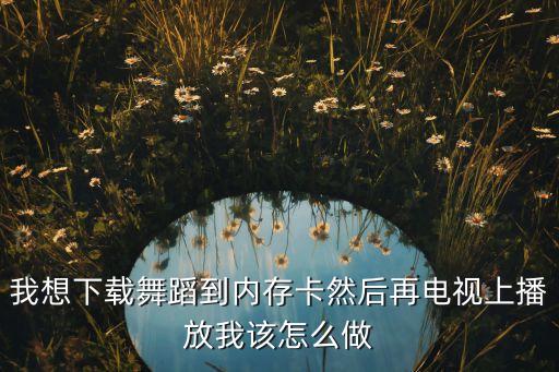怎么把跳舞视频投到电视上去，我想下载舞蹈到内存卡然后再电视上播放我该怎么做