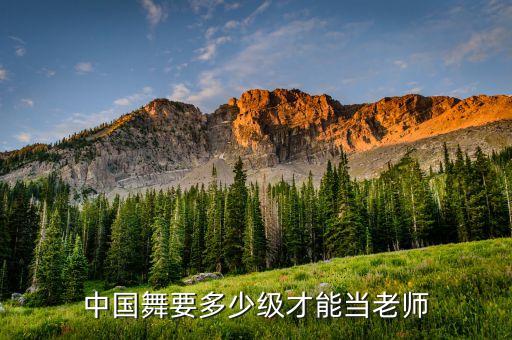 民族舞多少级才能授课，芭蕾舞和民族舞各有几级呢