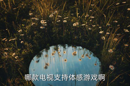 哪款电视支持体感游戏啊