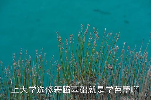 上大学选修舞蹈基础就是学芭蕾啊