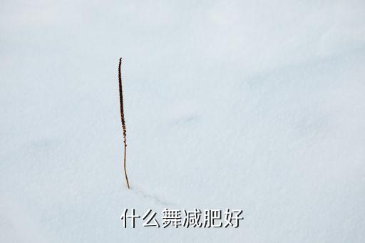 什么舞减肥好