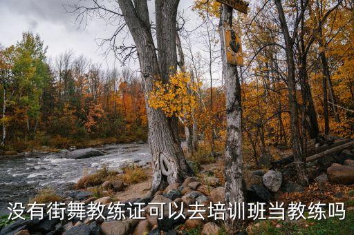 街舞教练员证有什么用，街舞教练资格证 是不是年龄大了 不好考