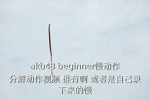 akb48 beginner慢动作分解动作视频 谁有啊 或者是自己录下来的慢