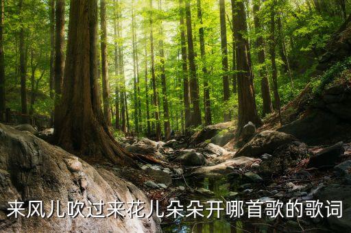 来风儿吹过来花儿朵朵开哪首歌的歌词