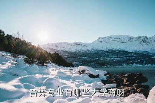 艺术舞蹈综合类大学，哪个学校舞蹈专业比较好