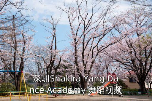深圳Shakira Yang Dance Academy 舞蹈视频