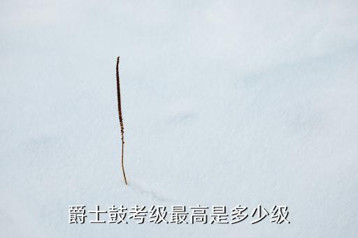 爵士鼓考级最高是多少级