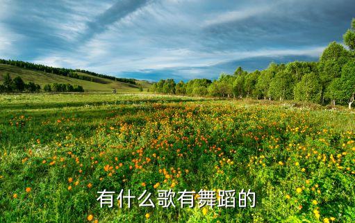 有什么歌有舞蹈的