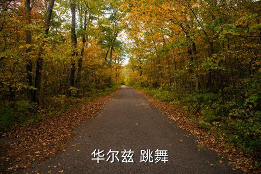 少儿华尔兹视频欣赏，华尔兹 跳舞
