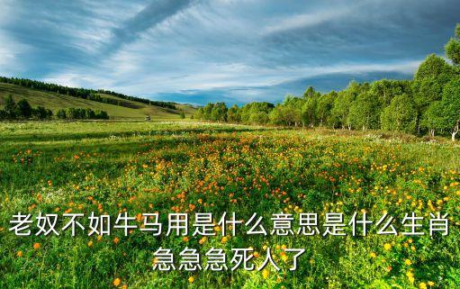 老奴不如牛马用是什么意思是什么生肖急急急死人了