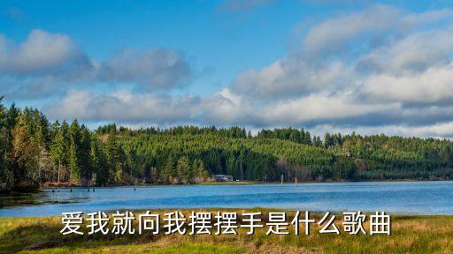 爱我就向我摆摆手是什么歌曲