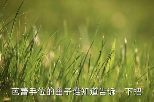 芭蕾手位的曲子谁知道告诉一下把