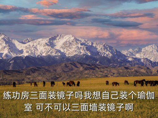 练功房用什么镜子好，练功房三面装镜子吗我想自己装个瑜伽室 可不可以三面墙装镜子啊