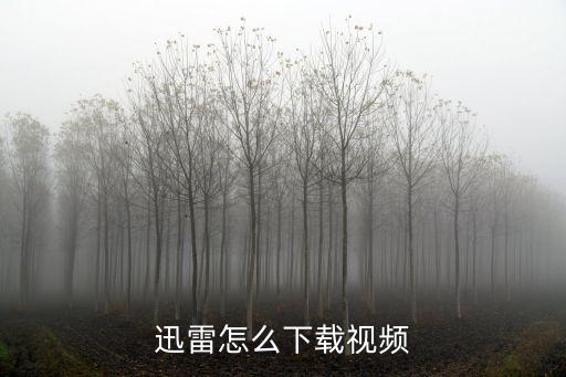 迅雷怎么下载视频