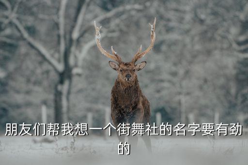 朋友们帮我想一个街舞社的名字要有劲的