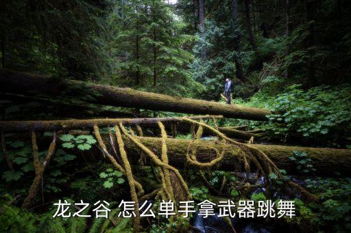 龙之谷 怎么单手拿武器跳舞
