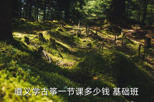 遵义学古筝一节课多少钱 基础班