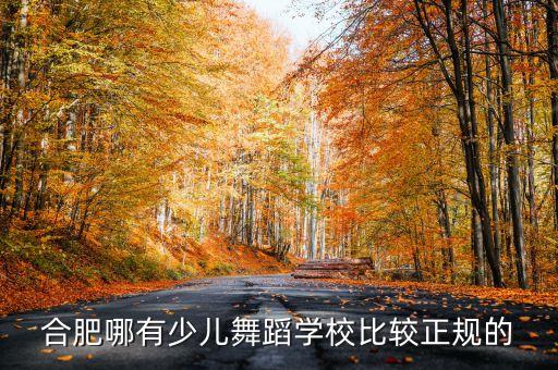 合肥哪有少儿舞蹈学校比较正规的