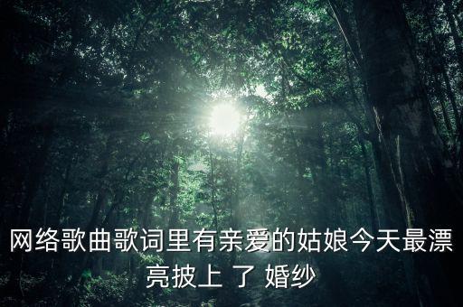 网络歌曲歌词里有亲爱的姑娘今天最漂亮披上 了 婚纱