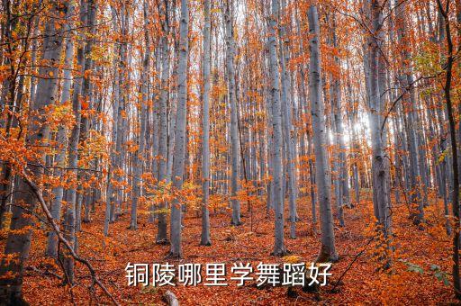 铜陵哪里学舞蹈好