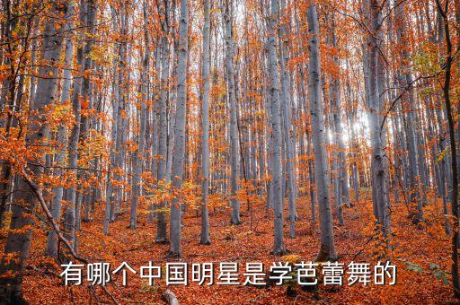 有哪个中国明星是学芭蕾舞的