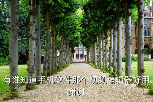 有谁知道手机软件那个视频编辑器好用谢谢