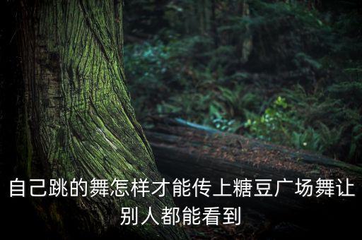 自己跳的舞怎样才能传上糖豆广场舞让别人都能看到