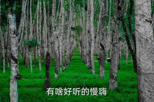 慢嗨什么意思，慢热是什么意思怎么形容