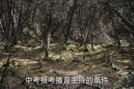 中考报考播音主持的条件