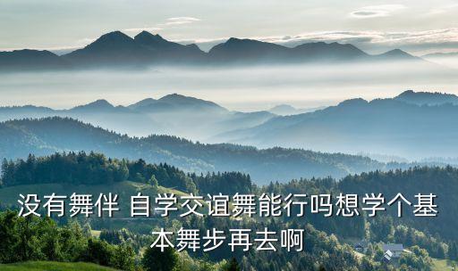 没有舞伴 自学交谊舞能行吗想学个基本舞步再去啊