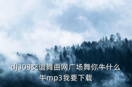 dj308交谊舞曲网广场舞你牛什么牛mp3我要下载