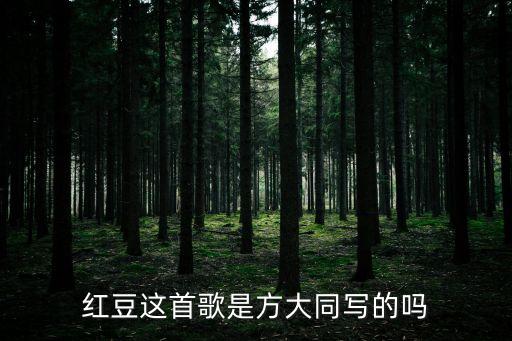 红豆这首歌是方大同写的吗