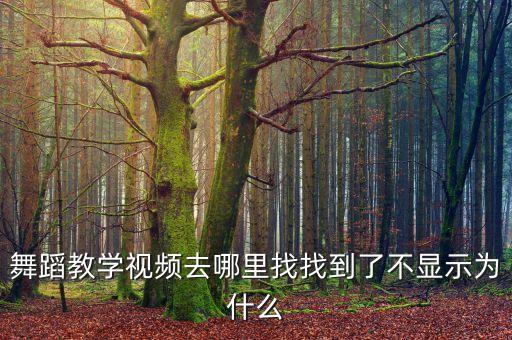 为什么有舞蹈教学视频，有没有舞蹈教学的视频