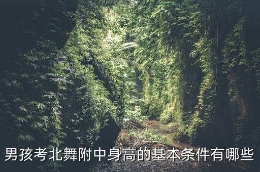 男孩考北舞附中身高的基本条件有哪些