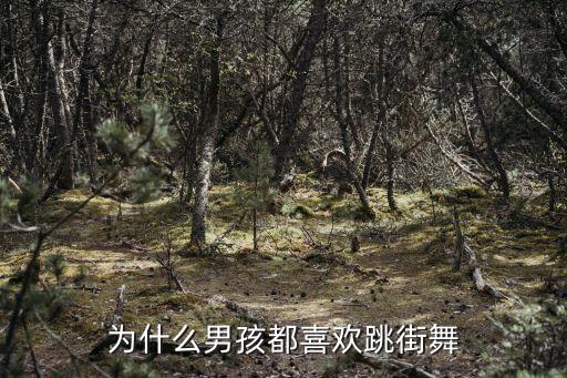 为什么男孩都喜欢跳街舞