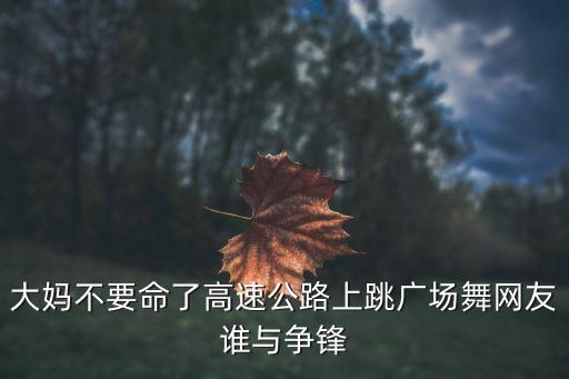 大妈不要命了高速公路上跳广场舞网友谁与争锋