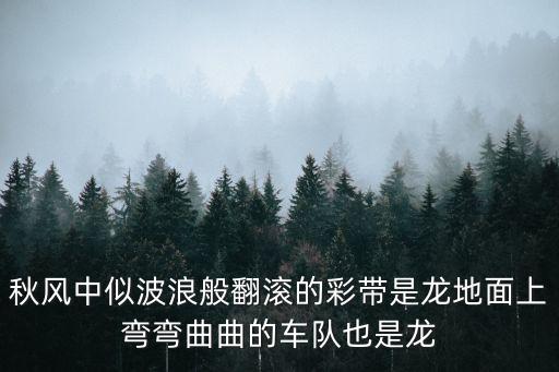 秋风中似波浪般翻滚的彩带是龙地面上弯弯曲曲的车队也是龙