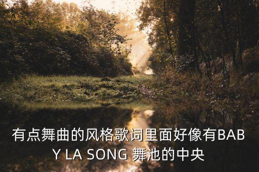 有点舞曲的风格歌词里面好像有BABY LA SONG 舞池的中央