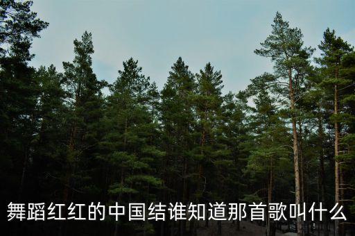 舞蹈红红的中国结谁知道那首歌叫什么
