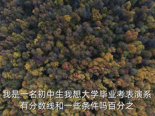 我是一名初中生我想大学毕业考表演系有分数线和一些条件吗百分之