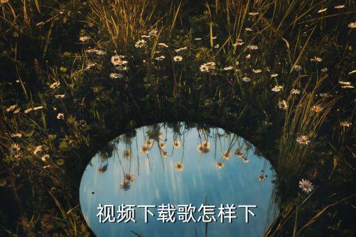 视频里音乐怎么下载，怎么能把视频里的歌下载下来