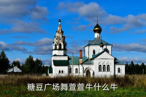 糖豆广场舞萱萱牛什么牛