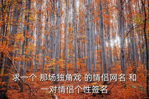求一个 那场独角戏 的情侣网名 和一对情侣个性签名