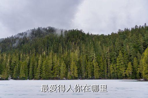 糖豆广场舞最爱的人你在哪里，我最爱的人你在哪里呀